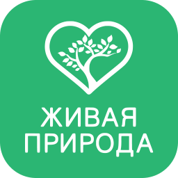 Живая природа HD